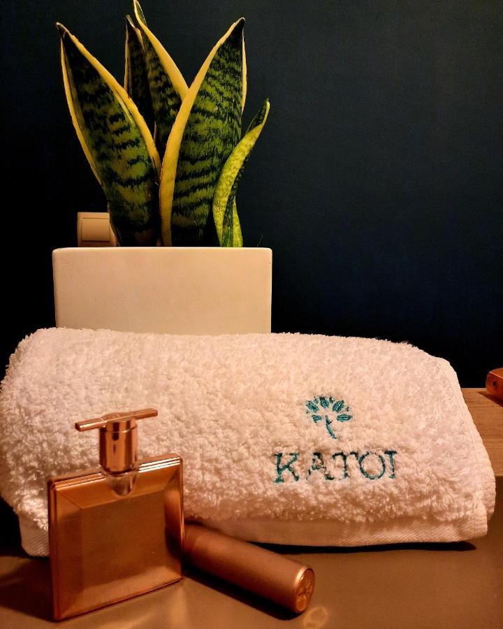 Katoi Traditional House Exo Khora エクステリア 写真